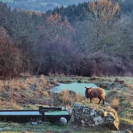 Detente En Pays D'urfe *
